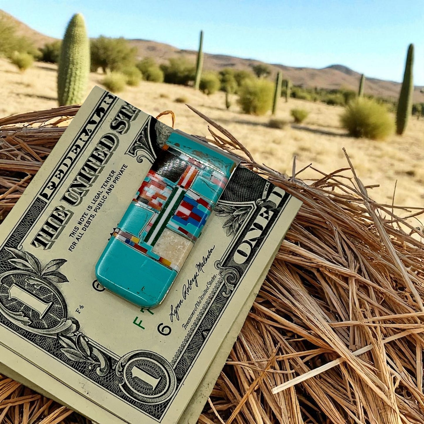 THE SOUTHWESTERN CLIP